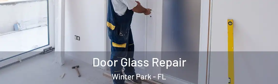 Door Glass Repair Winter Park - FL