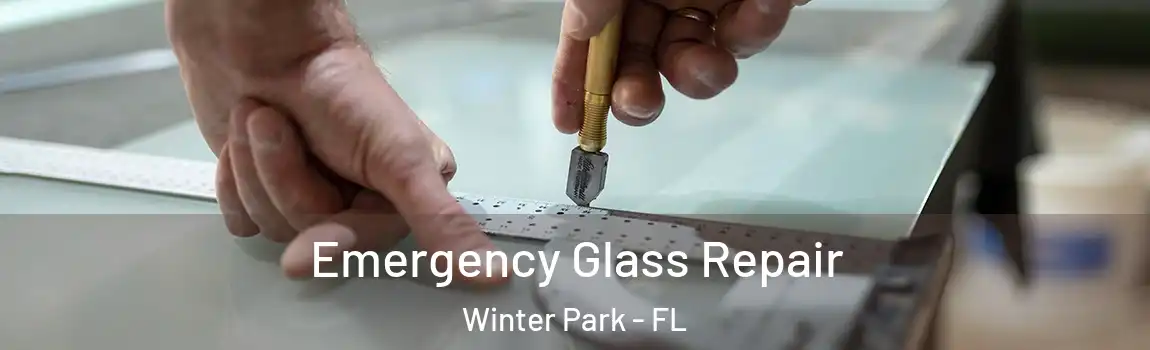 Emergency Glass Repair Winter Park - FL