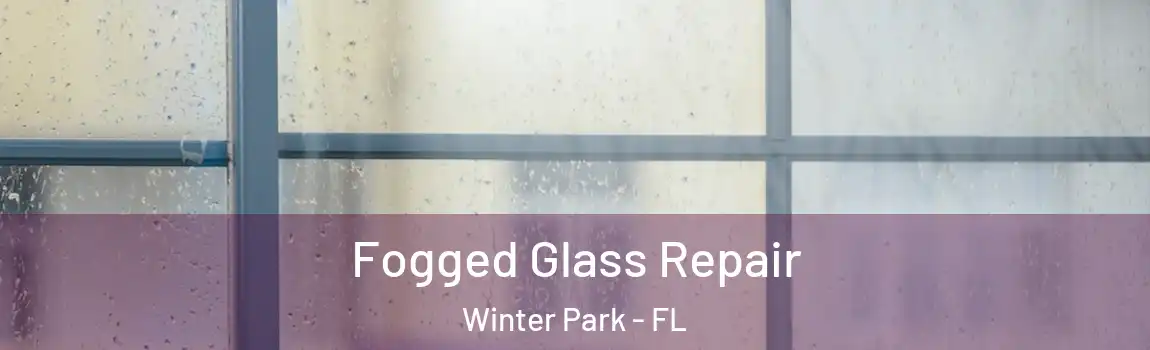  Fogged Glass Repair Winter Park - FL
