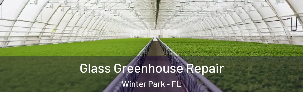 Glass Greenhouse Repair Winter Park - FL