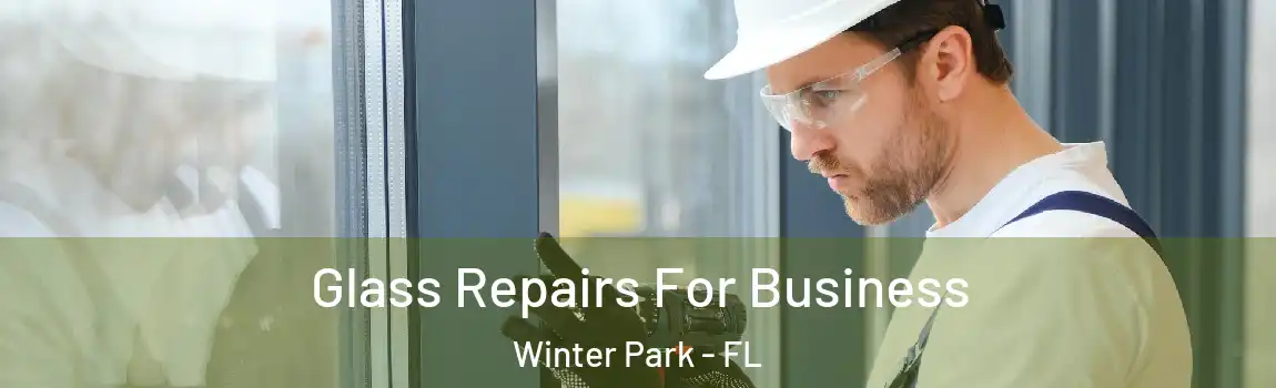 Glass Repairs For Business Winter Park - FL