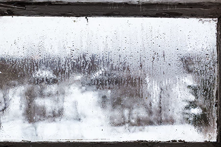 Defogging Double Pane Windows in Winter Park, FL