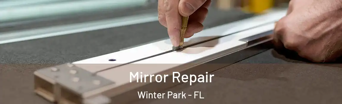 Mirror Repair Winter Park - FL