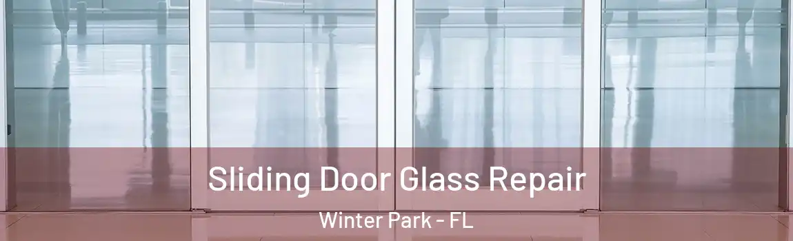 Sliding Door Glass Repair Winter Park - FL