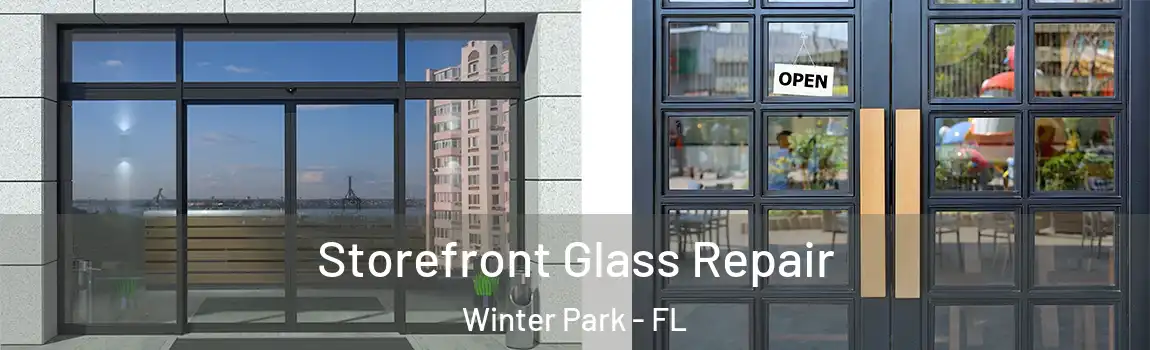Storefront Glass Repair Winter Park - FL