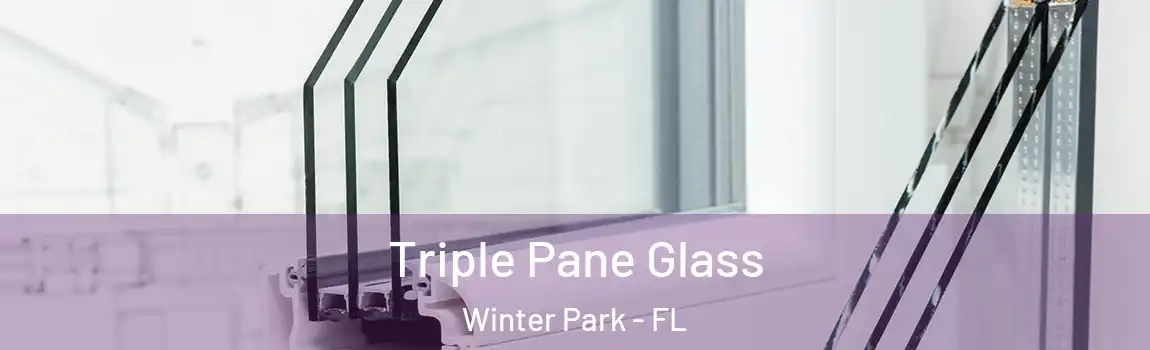 Triple Pane Glass Winter Park - FL