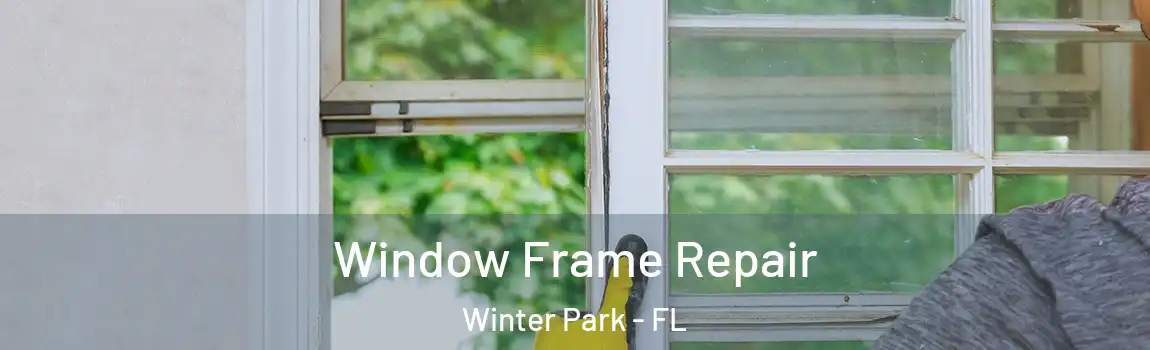 Window Frame Repair Winter Park - FL