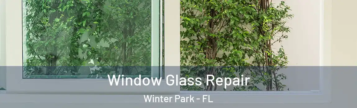 Window Glass Repair Winter Park - FL