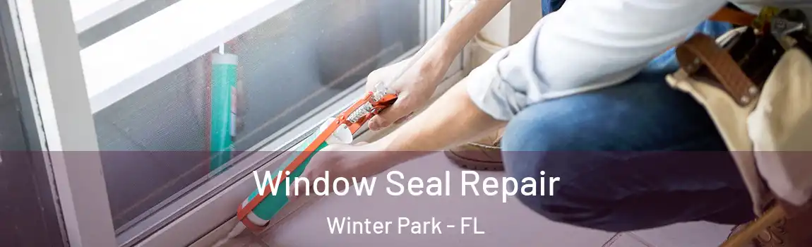 Window Seal Repair Winter Park - FL